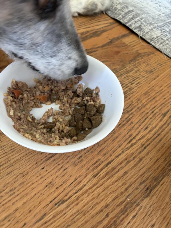 Older pup digging in!