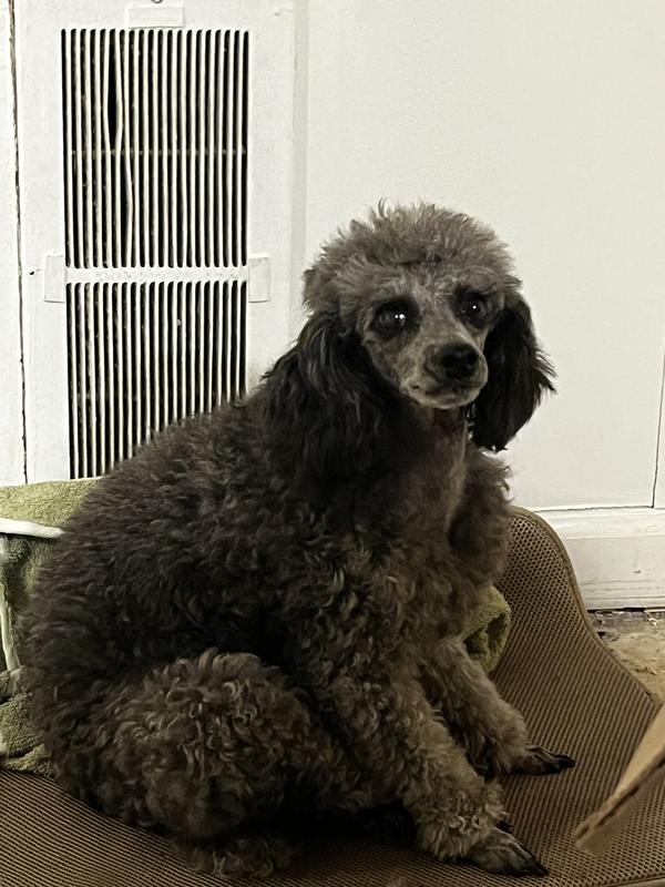 I like to show off my new cut