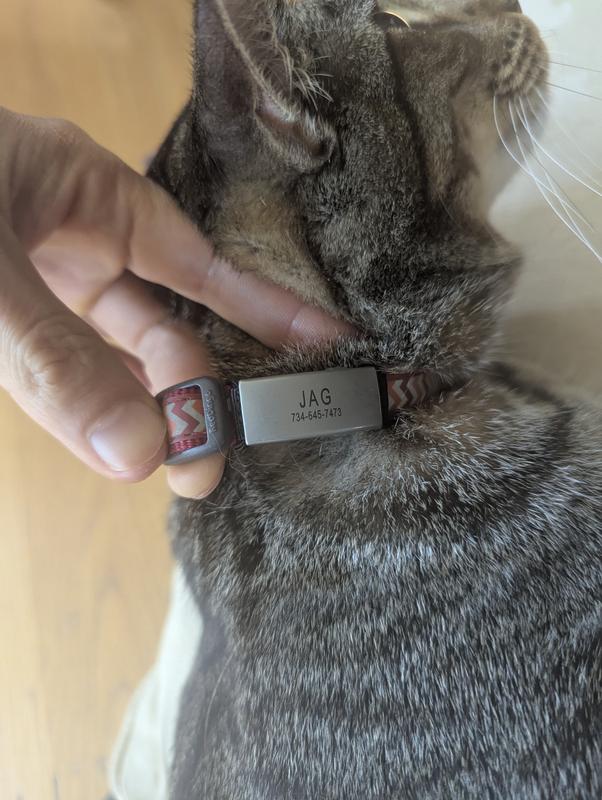 Phone # hard to read