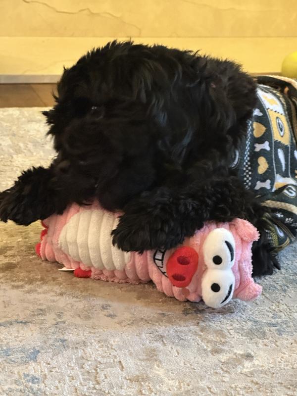 Fur-niece sent me this after Christmas.