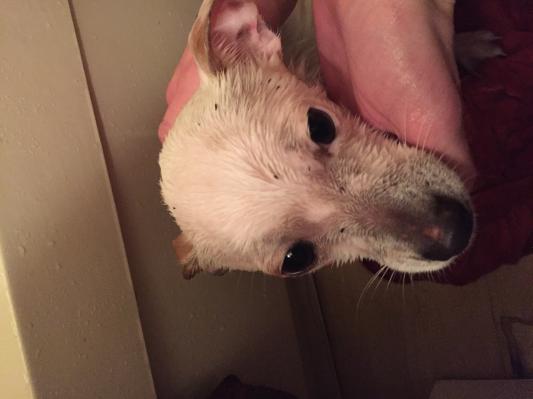 His first bath after coming home.
