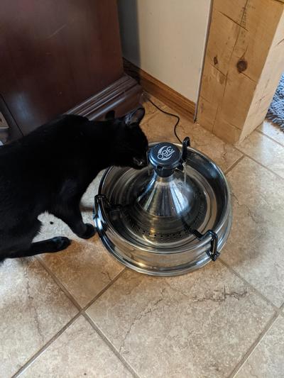 Drinkwell 360 Stainless Steel Pet Fountain