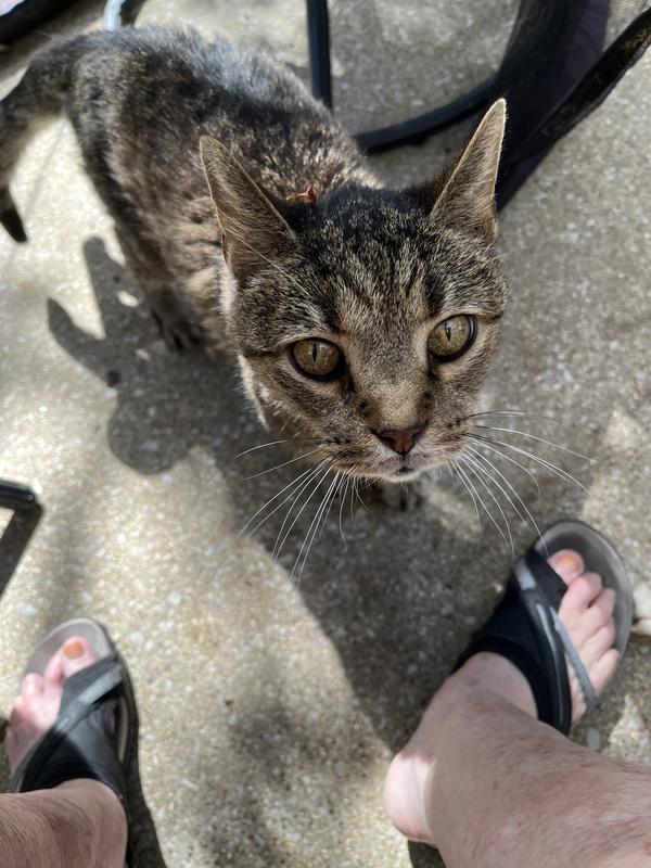 Aptly named 15 years ago--Trouble!