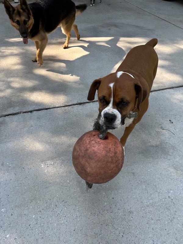 Best toy EVER!