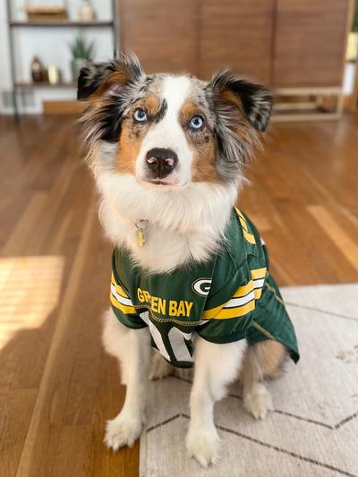 puppy packers jersey