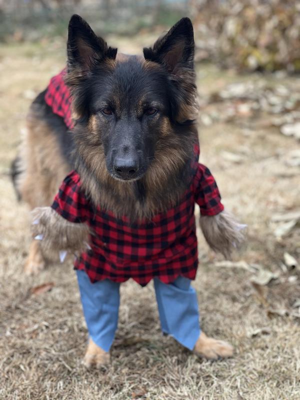 Werewolf costume hotsell for dogs