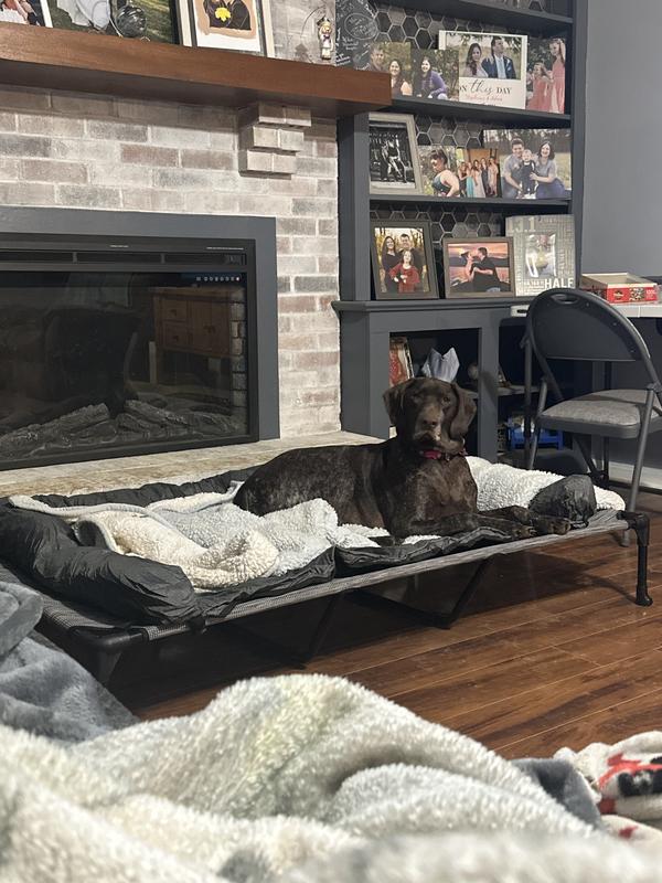 75 lb female GSP on xxl bed with plenty of room for my other 75lb dog.