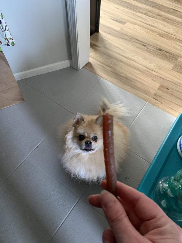 Oh boy a treat is coming