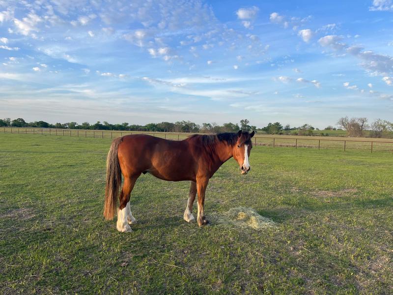 Feeling much better !