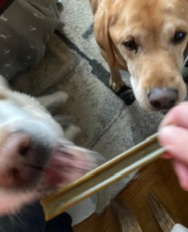 This treat was intended for her brother, but she got there first!