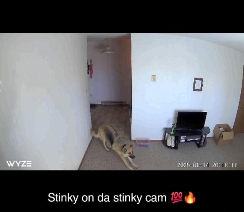 Big stretch for quality reference when downloading clips