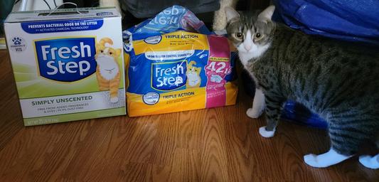 Fresh Step Cat Litter, Clumping, Low Tracking, Triple Action