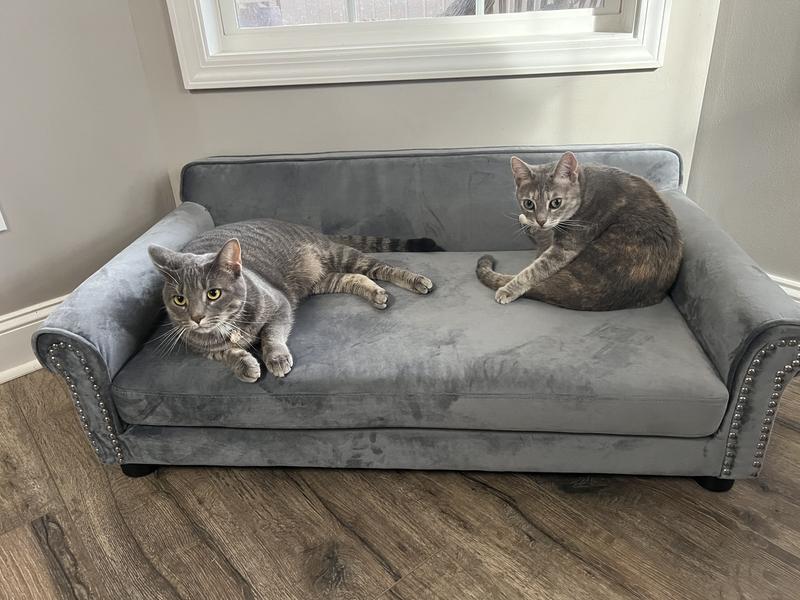 FRISCO Sofa Pet Bed with Removable Cover, Gray, Medium