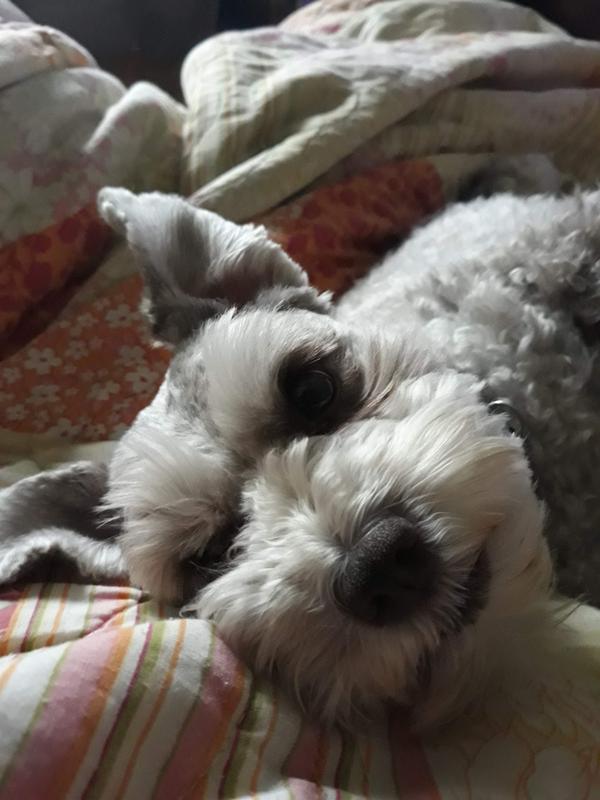 And now she’s all smiles and feels good