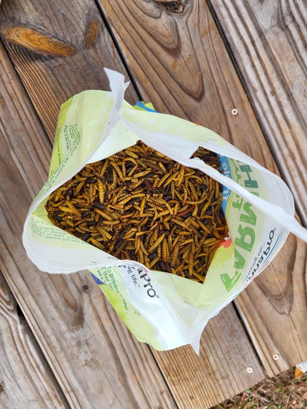 MANNA PRO Farmhouse Favorites Triple Bug Mix Chicken Treats, 2-lb bag ...