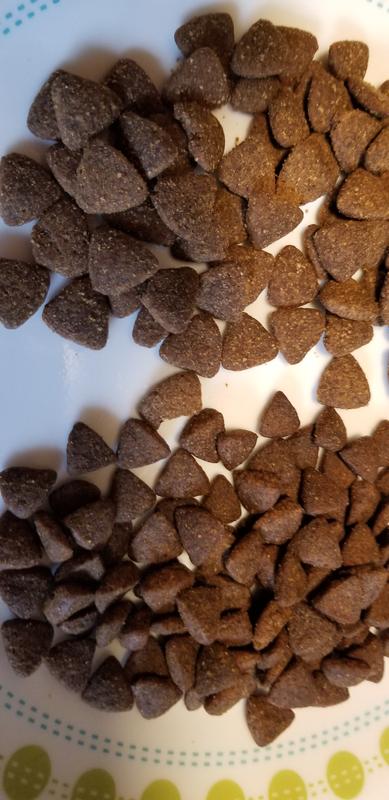 Change in kibble size and color