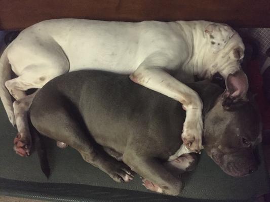 it was a long day, its time for a nap