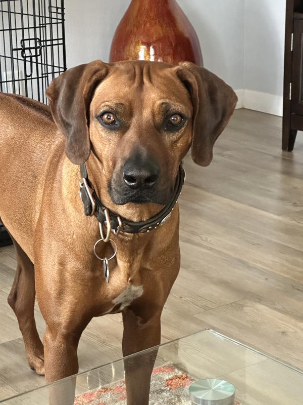 She loves and is doing well on it