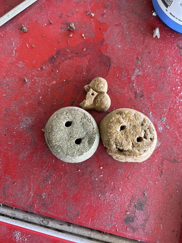 Dog bone and green “horse” cookie next to “normal” horse cookie
