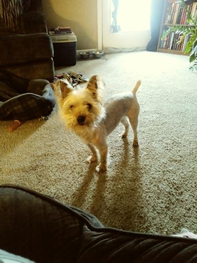 Patti kake after her new cut!