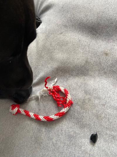 Don’t waste your money.