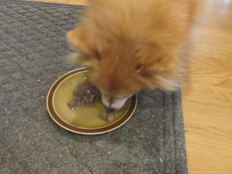 the 10 month old eating her share.