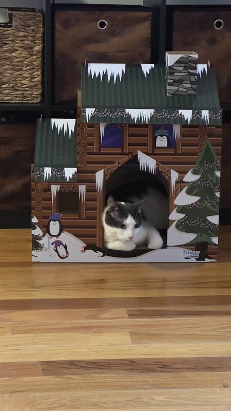 Product Reviews for FRISCO Holiday Log Cabin Cardboard Cat House