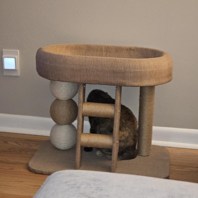 Just the right size for my small cat.