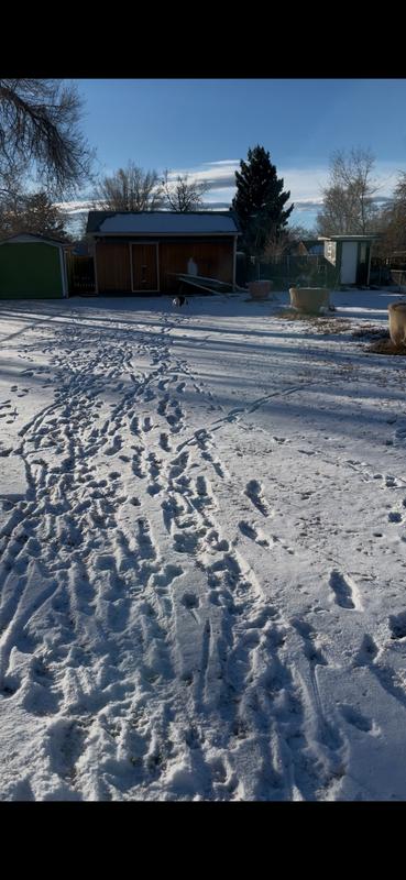 Cinema too excited to let us have her ball back!