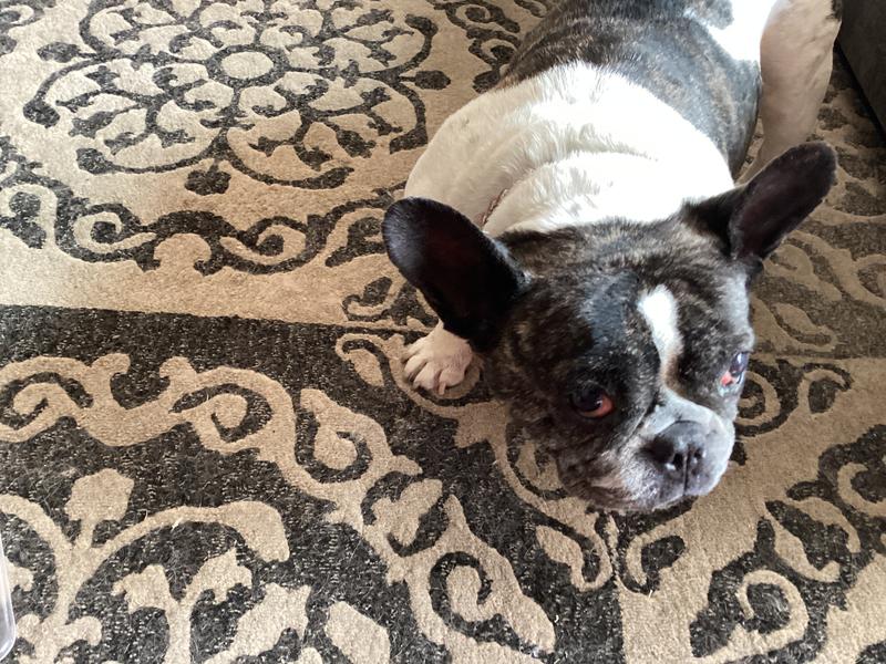 Before using ointment