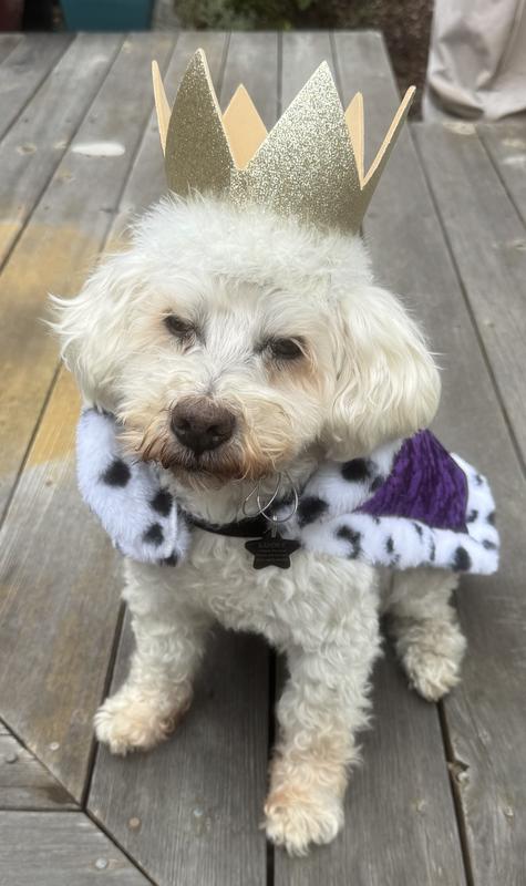 This crown was purchased separately and did not come with the robe.