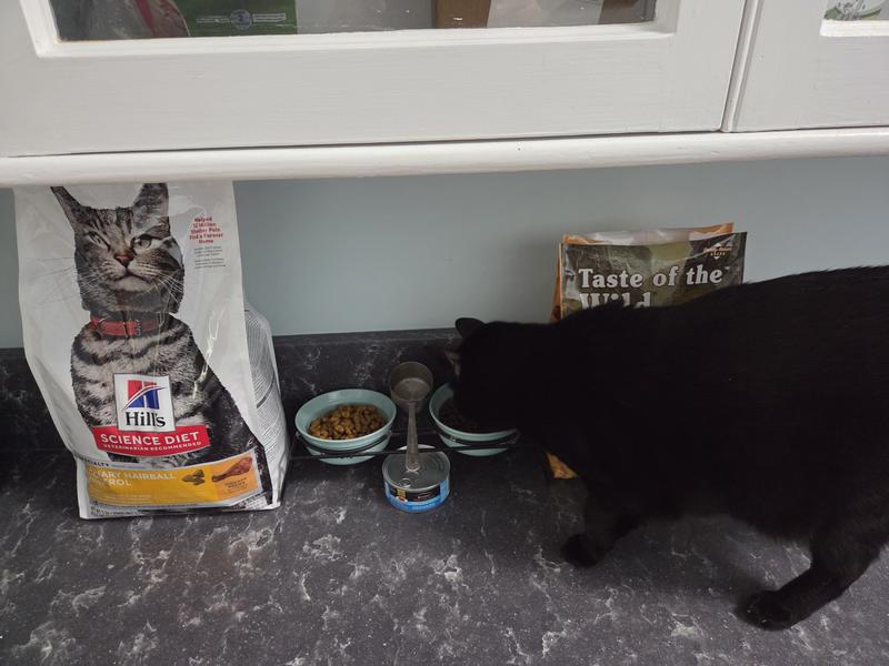 Tastes wild to me...