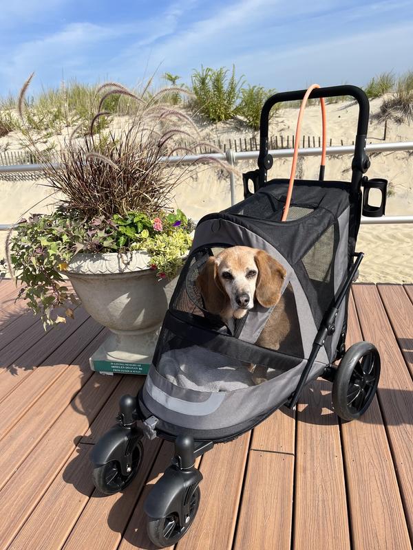 uppababy stroller weight UPPAbaby Minu V3 Stroller  Baby Grand