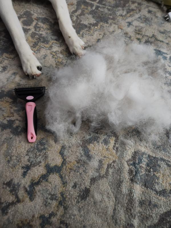 OZARK PET Dog & Cat Brush, Blue, Small