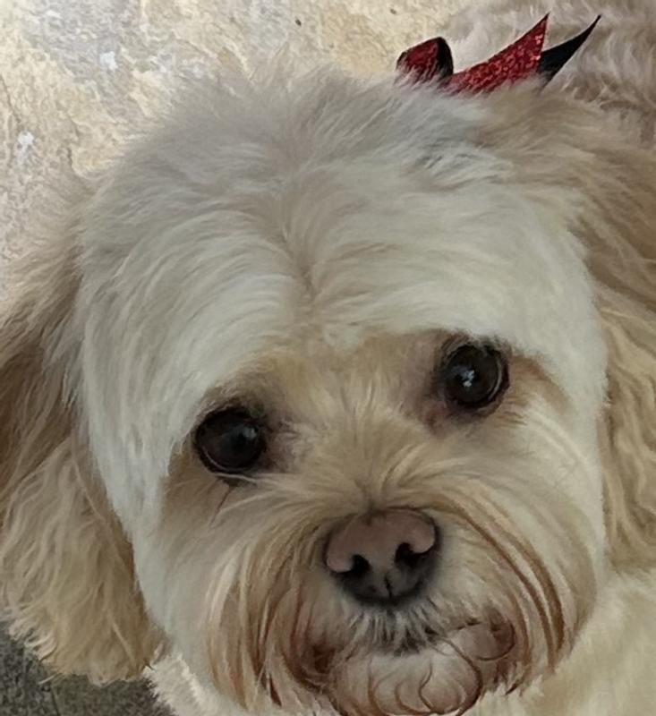 I love being her assistant!