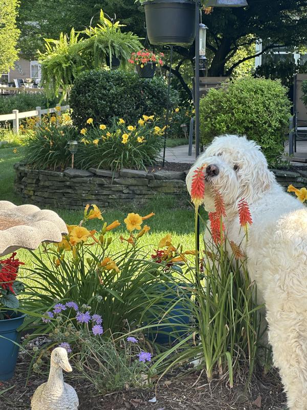 Taking time to smell the flowers. Love my food
