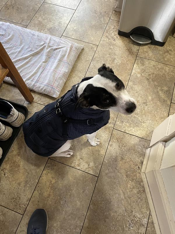 Ready to go outside!