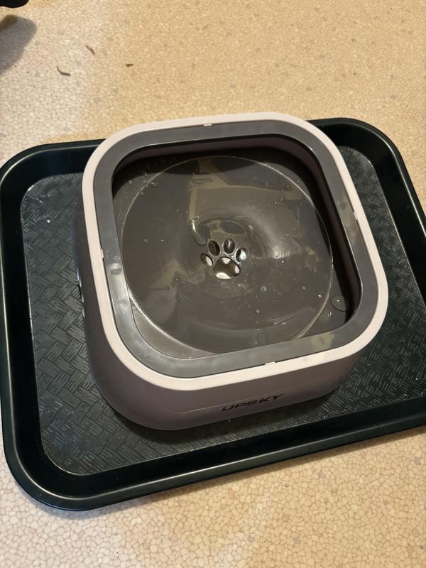 The perfect water bowl!