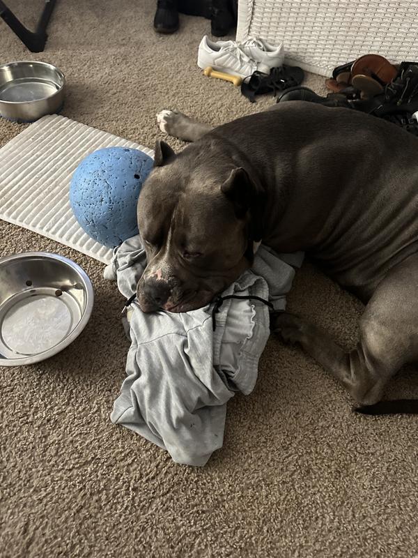 Best sleep ever with ball