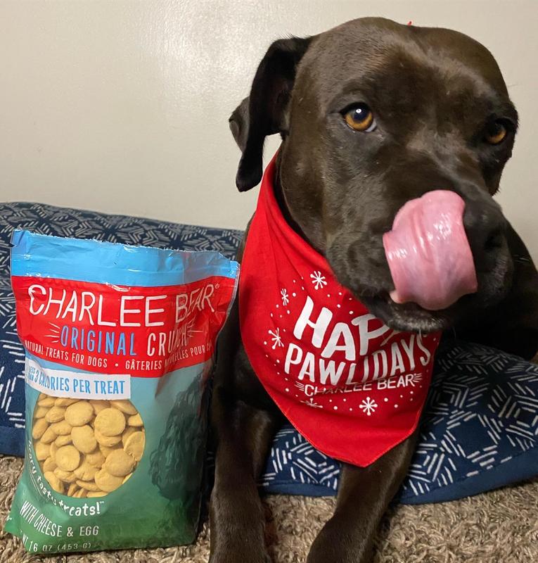 Charlee bear dog outlet treats review