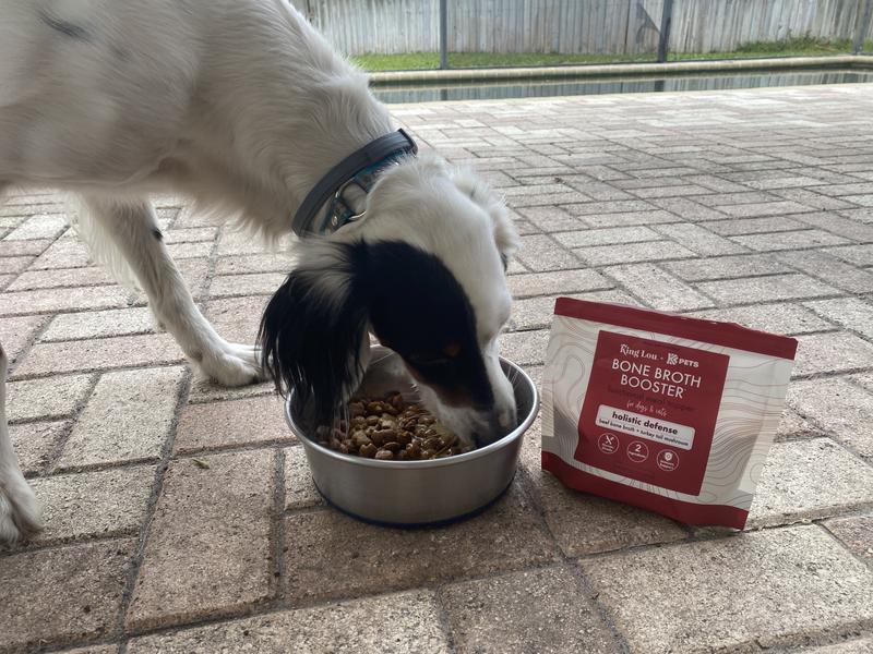 Norman loves his bone broth topper.