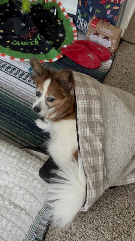 A photo of Jak playing around the morning after Christmas.