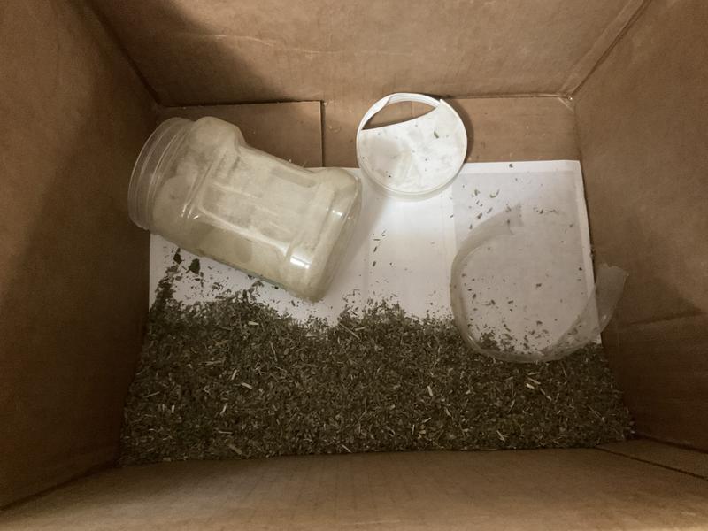 Broken, leaking out of box when picked up.