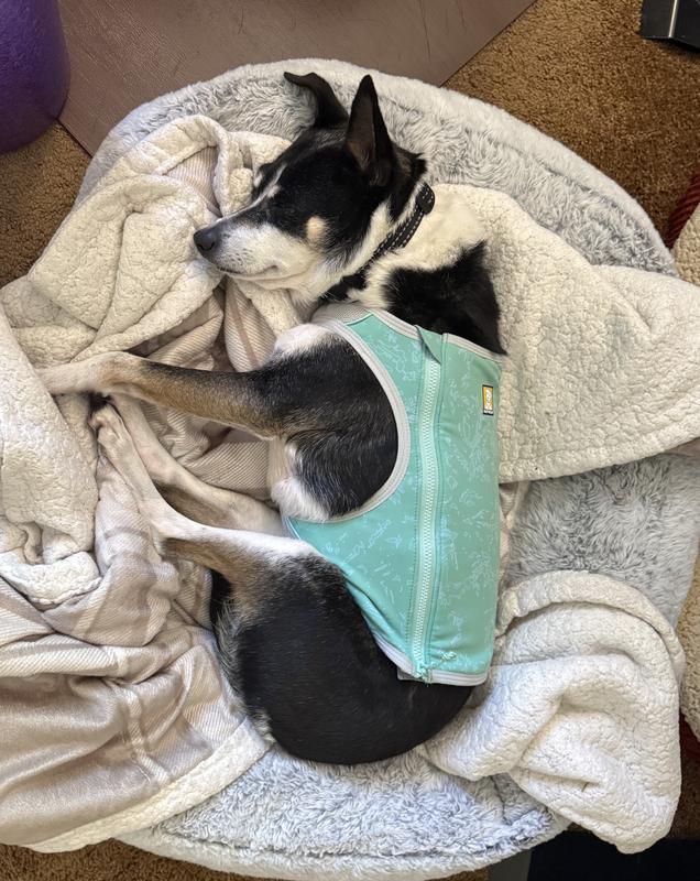 RUFFWEAR Swamp Cooler Zip Dog Vest, Blue Mist, XX-Small - Chewy.com
