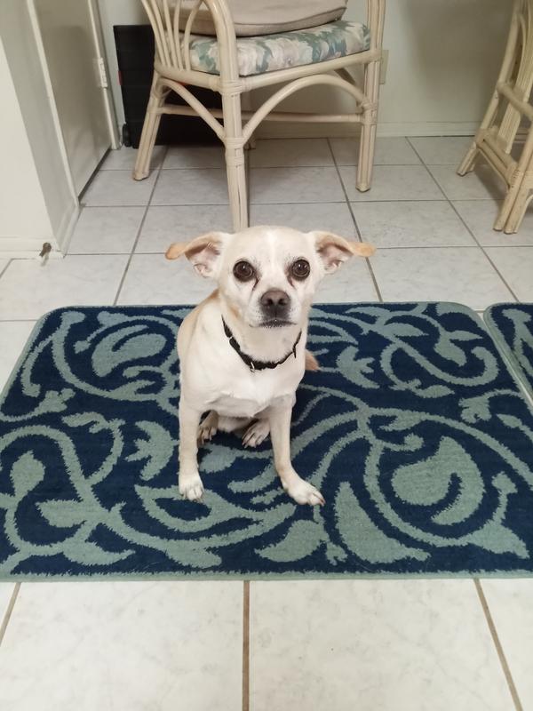 This is my little man