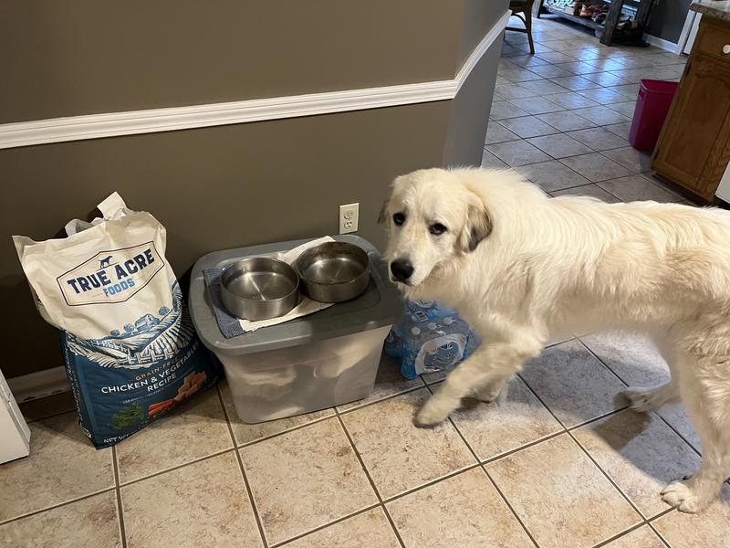 True acres dog clearance food