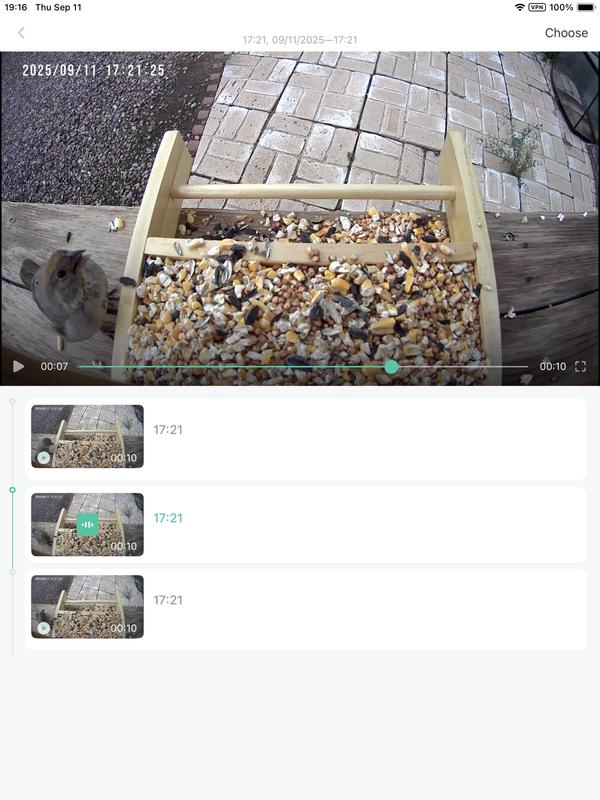 our feathered friend!