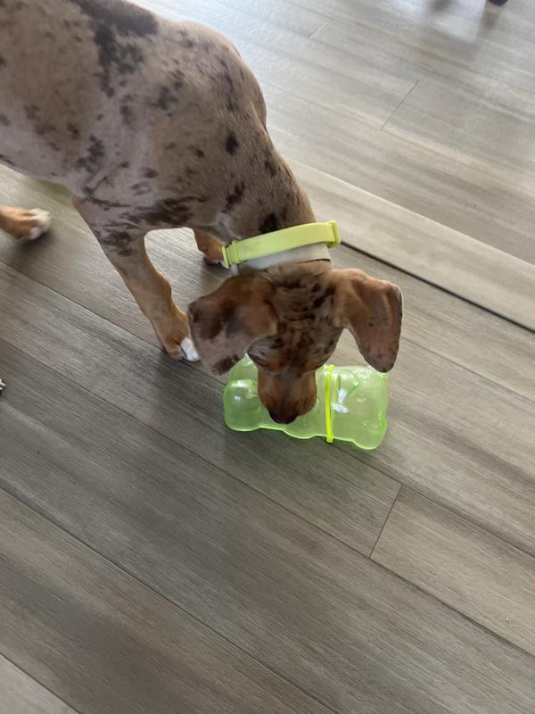 It’s got a great, sturdy squeaker