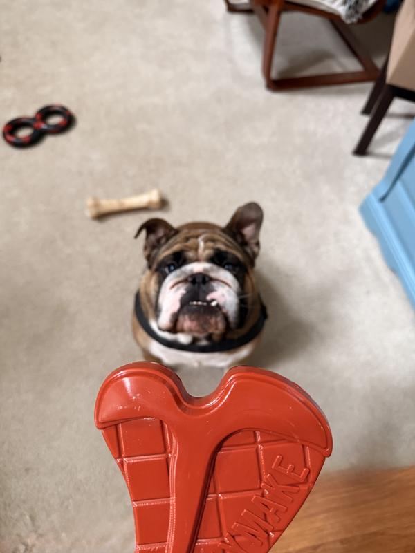 Fine. I’ll sit and be a good boy.