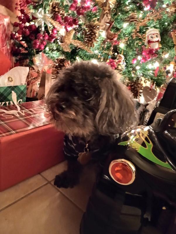 Getting old but with many years of love and care